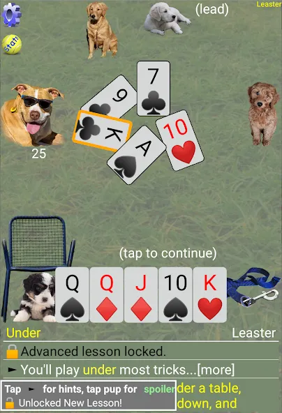 K9 Sheepshead (Schafkopf] мод на Андроид: Разблокированы все функции и уровни — скриншот 4
