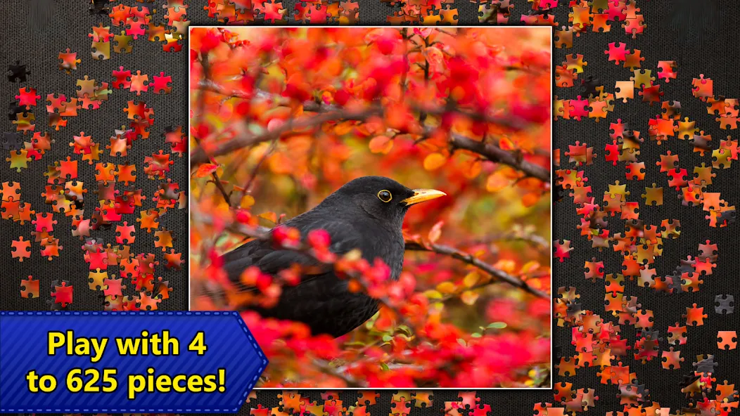 Jigsaw Puzzles Epic MOD APK скачать на Андроид — Безлимитные подсказки и монеты — скриншот 5