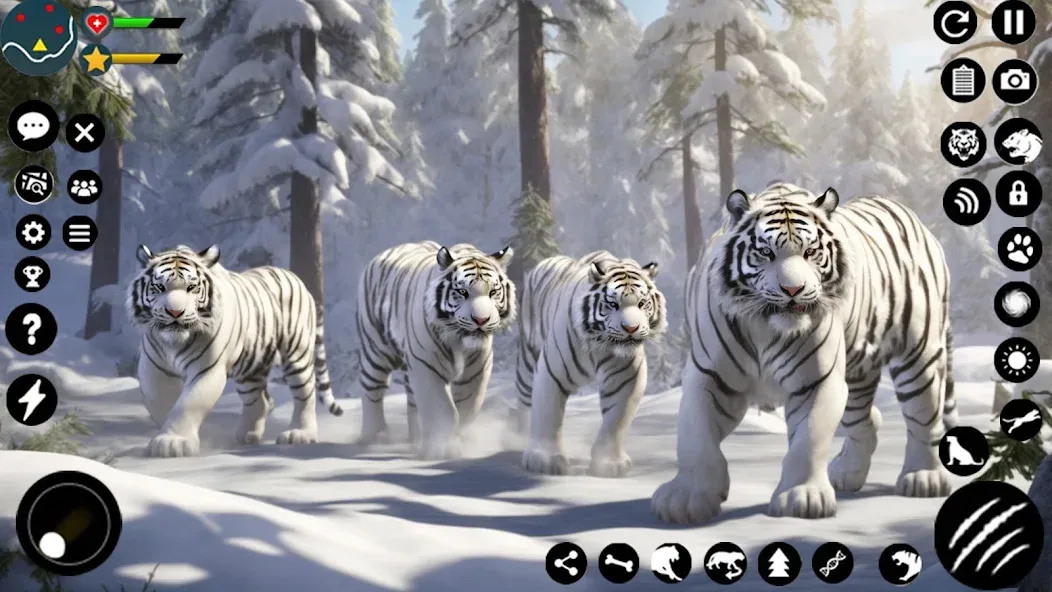 Скачать взлом Arctic White Tiger Family Sim — Безлимитные деньги и ресурсы — скриншот 4