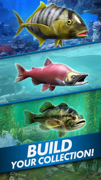 Ultimate Fishing! Fish Game мод на Андроид: Безлимитные деньги и приманки — скриншот 5 Ultimate Fishing! Fish Game мод на Андроид: Безлимитные деньги и приманки — скриншот 5