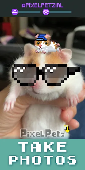 Скачать Pixel Petz Mod APK — Много монет и ресурсов — скриншот 4