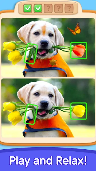 Скачать Can You Spot It: Differences мод — Безлимитные подсказки и все уровни открыты — скриншот 3