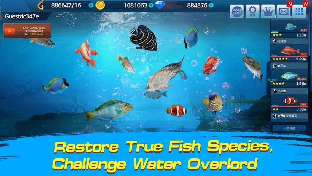 Fishing Championship (Мод: Безлимитные монеты и энергии) — скачать на Андроид — скриншот 2 Fishing Championship (Мод: Безлимитные монеты и энергии) — скачать на Андроид — скриншот 2