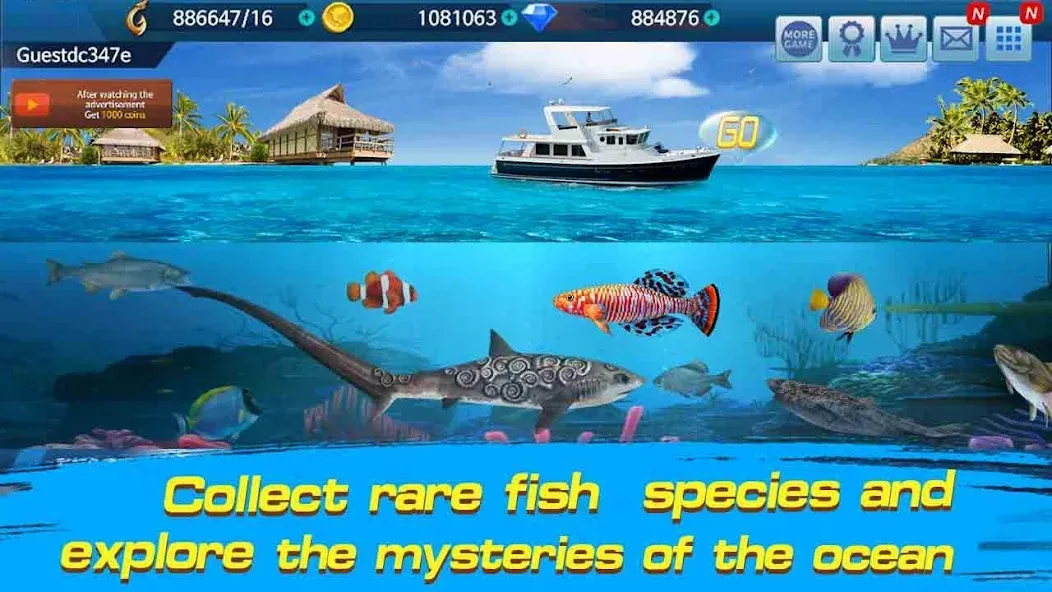 Fishing Championship (Мод: Безлимитные монеты и энергии) — скачать на Андроид — скриншот 3 Fishing Championship (Мод: Безлимитные монеты и энергии) — скачать на Андроид — скриншот 3