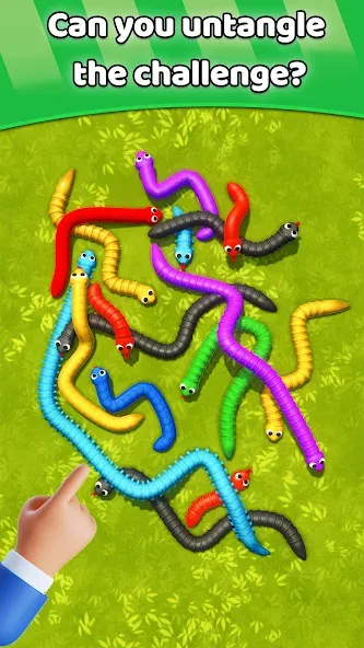 Tangled Snakes Puzzle Game — Разблокированы все уровни и подсказки, скачать мод APK — скриншот 5 Tangled Snakes Puzzle Game — Разблокированы все уровни и подсказки, скачать мод APK — скриншот 5