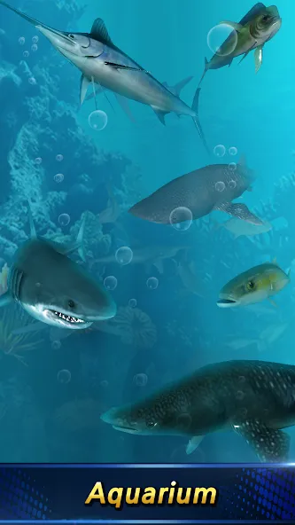 Monster Fishing 2024 — скачать мод: Безлимитные деньги и открытые локации — скриншот 2 Monster Fishing 2024 — скачать мод: Безлимитные деньги и открытые локации — скриншот 2