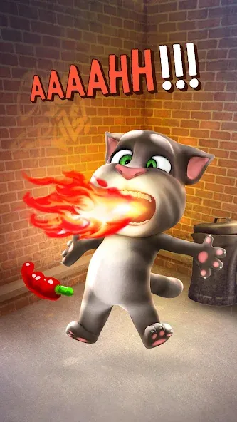Talking Tom Cat — последняя версия с модом (Много денег и все предметы открыты) — скриншот 4 Talking Tom Cat — последняя версия с модом (Много денег и все предметы открыты) — скриншот 4