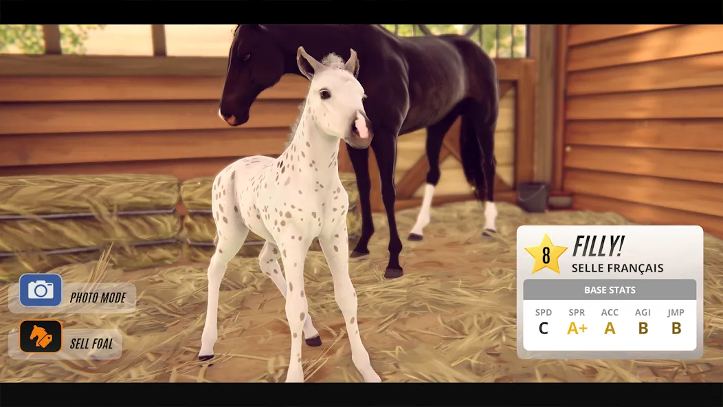 Rival Stars Horse Racing — последняя версия с модом (Безлимитные деньги и ускоренное развитие) — скриншот 3