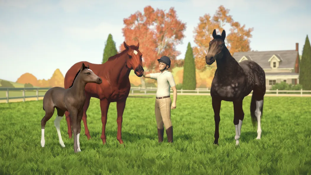 Rival Stars Horse Racing — последняя версия с модом (Безлимитные деньги и ускоренное развитие) — скриншот 5