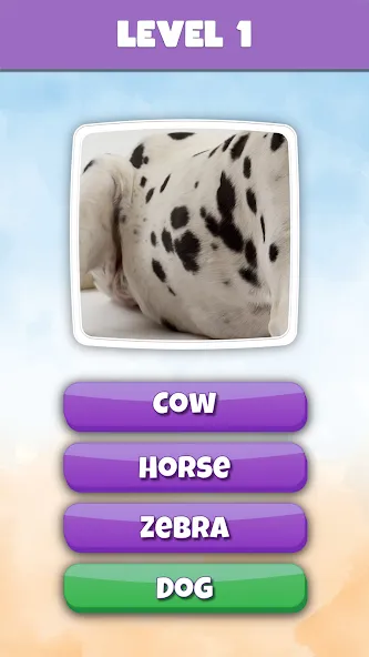 Скачать What is it? Pics Trivia Quiz Mod APK — Открыты все уровни и подсказки — скриншот 2 Скачать What is it? Pics Trivia Quiz Mod APK — Открыты все уровни и подсказки — скриншот 2