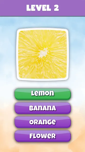 Скачать What is it? Pics Trivia Quiz Mod APK — Открыты все уровни и подсказки — скриншот 3 Скачать What is it? Pics Trivia Quiz Mod APK — Открыты все уровни и подсказки — скриншот 3
