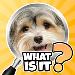 Скачать What is it? Pics Trivia Quiz Mod APK — Открыты все уровни и подсказки