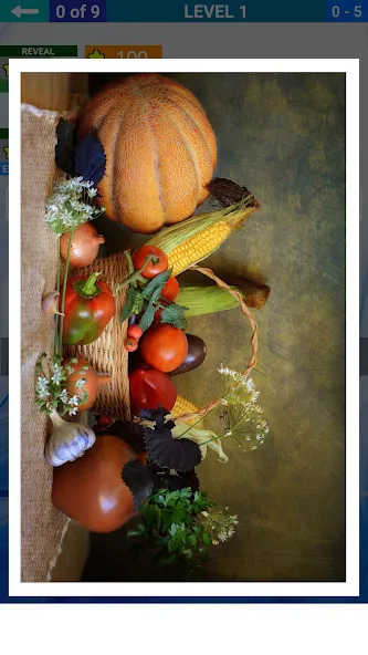 1 picture and a few words бесплатно на Андроид — мод: Открыты все уровни и подсказки — скриншот 5 1 picture and a few words бесплатно на Андроид — мод: Открыты все уровни и подсказки — скриншот 5