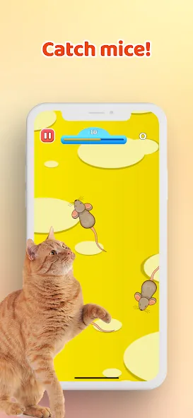 Games for Cat－Toy Mouse & Fish взлом APK — Новые игрушки и рыбки — скриншот 1