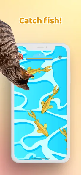 Games for Cat－Toy Mouse & Fish взлом APK — Новые игрушки и рыбки — скриншот 3