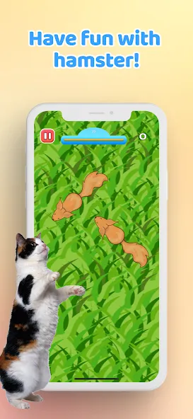 Games for Cat－Toy Mouse & Fish взлом APK — Новые игрушки и рыбки — скриншот 5