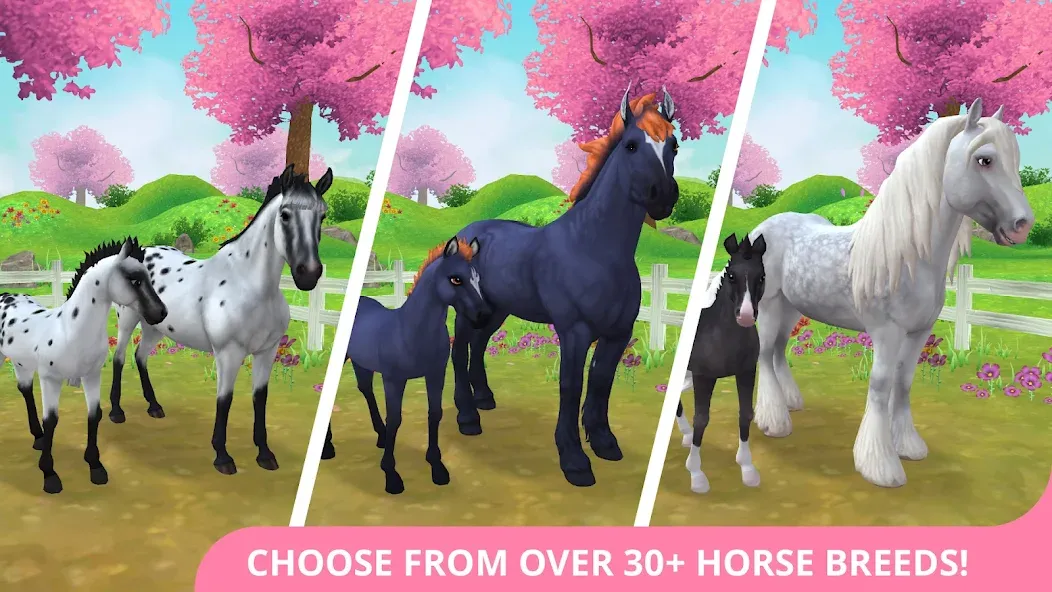 Скачать Star Stable Horses мод — Безлимитные деньги и все лошади — скриншот 1 Скачать Star Stable Horses мод — Безлимитные деньги и все лошади — скриншот 1