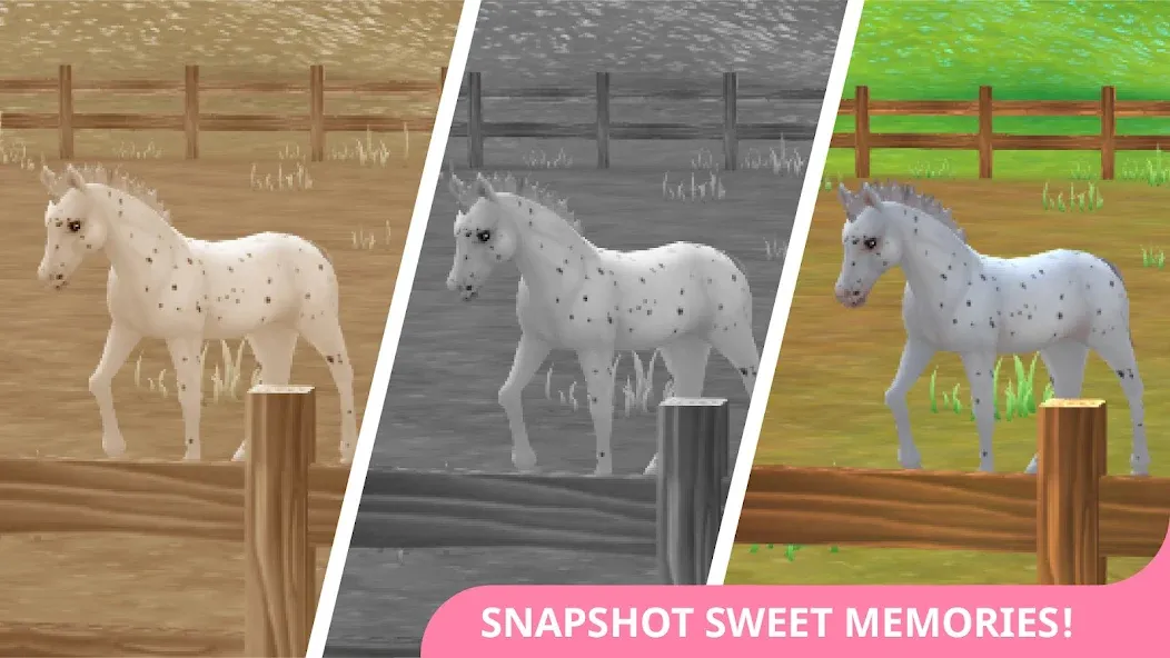 Скачать Star Stable Horses мод — Безлимитные деньги и все лошади — скриншот 4 Скачать Star Stable Horses мод — Безлимитные деньги и все лошади — скриншот 4