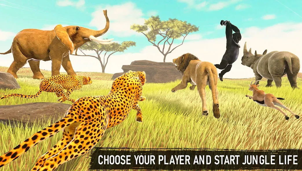 Savanna Safari: Land of Beasts (Мод: Безлимитные деньги и открыты все животные) — скачать на Андроид — скриншот 3 Savanna Safari: Land of Beasts (Мод: Безлимитные деньги и открыты все животные) — скачать на Андроид — скриншот 3
