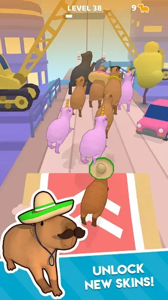 Capybara Rush — взломанная версия, Много монет и бонусов — скриншот 3 Capybara Rush — взломанная версия, Много монет и бонусов — скриншот 3