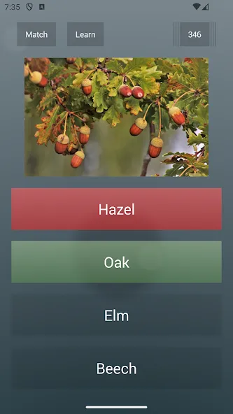 Скачать General Knowledge Quiz Mod APK — Безлимитные подсказки и открыты все вопросы — скриншот 2 Скачать General Knowledge Quiz Mod APK — Безлимитные подсказки и открыты все вопросы — скриншот 2