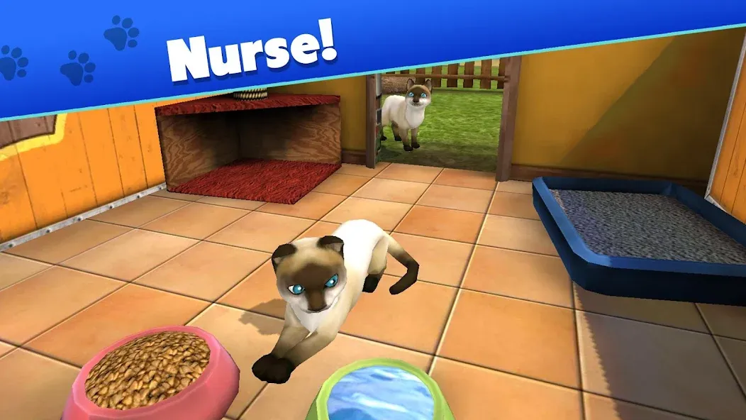 Pet World - My Animal Shelter MOD APK скачать на Андроид — Безлимитные деньги и ресурсы — скриншот 3 Pet World - My Animal Shelter MOD APK скачать на Андроид — Безлимитные деньги и ресурсы — скриншот 3