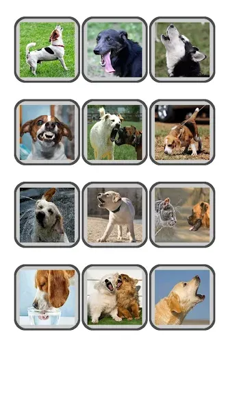 Скачать Dog Translator: Bark to Human бесплатно — Переводчик без ограничений и рекламы — скриншот 5 Скачать Dog Translator: Bark to Human бесплатно — Переводчик без ограничений и рекламы — скриншот 5