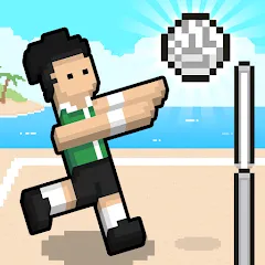 Volley Random — Разблокированы все мячи и режимы, скачать мод APK