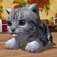 Cute Pocket Cat 3D MOD APK: Много монет и все коты открыты