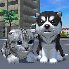 Cute Pocket Cat And Puppy 3D взлом APK — Безлимитные монеты и открыты все питомцы