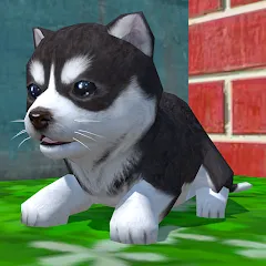 Cute Pocket Puppy 3D бесплатно на Андроид — мод: Много денег и все питомцы