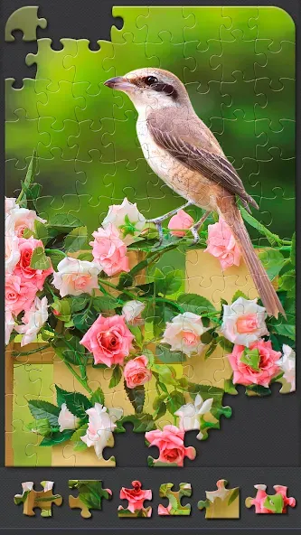 Скачать Jigsaw Puzzles for Adults бесплатно — Безлимитные подсказки и пазлы открыты — скриншот 3 Скачать Jigsaw Puzzles for Adults бесплатно — Безлимитные подсказки и пазлы открыты — скриншот 3
