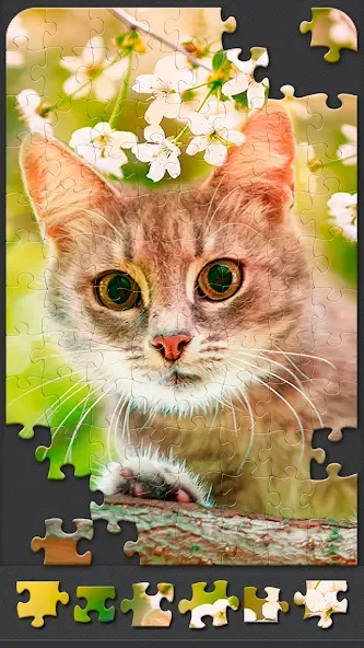 Скачать Jigsaw Puzzles for Adults бесплатно — Безлимитные подсказки и пазлы открыты — скриншот 5 Скачать Jigsaw Puzzles for Adults бесплатно — Безлимитные подсказки и пазлы открыты — скриншот 5