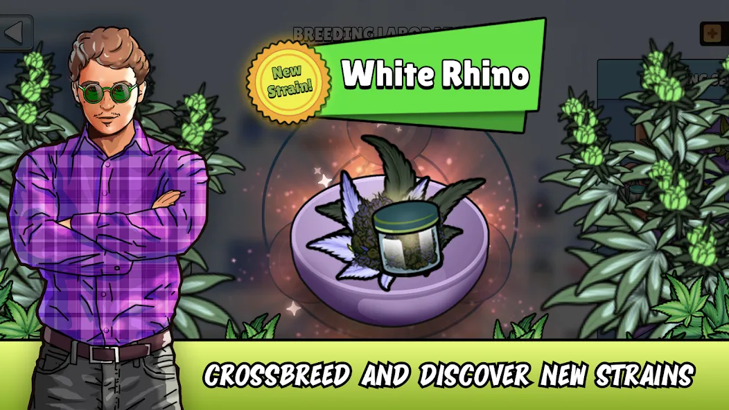 Скачать взлом Weed City - Hemp Farm Tycoon — Безлимитные деньги и ресурсы — скриншот 1 Скачать взлом Weed City - Hemp Farm Tycoon — Безлимитные деньги и ресурсы — скриншот 1