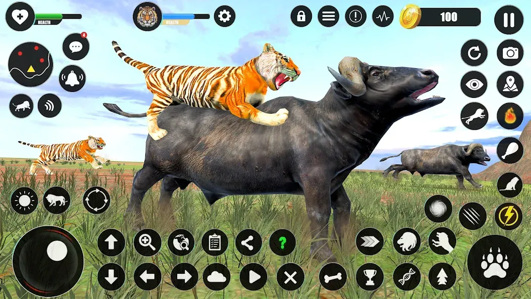 Скачать Tiger Simulator Animal Games Mod APK — Безлимитные монеты и энергия — скриншот 4 Скачать Tiger Simulator Animal Games Mod APK — Безлимитные монеты и энергия — скриншот 4