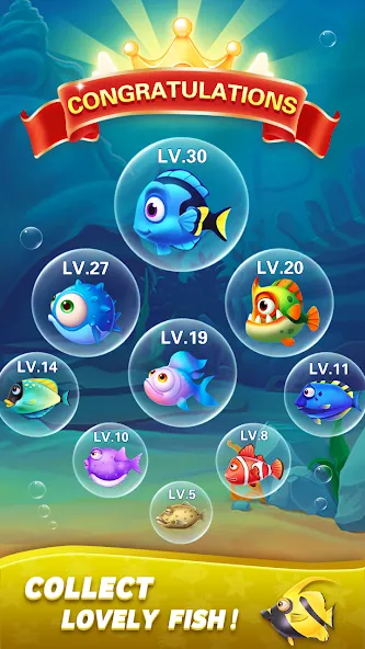 Block Ocean 1010 Puzzle Games на телефон — скачать мод: Без рекламы и бесконечные подсказки — скриншот 5