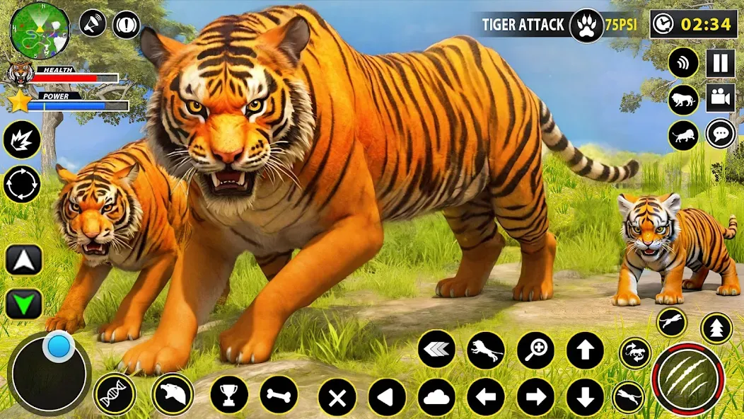Скачать взлом Tiger Simulator Lion games 3D — Безлимитные деньги и энергия — скриншот 1