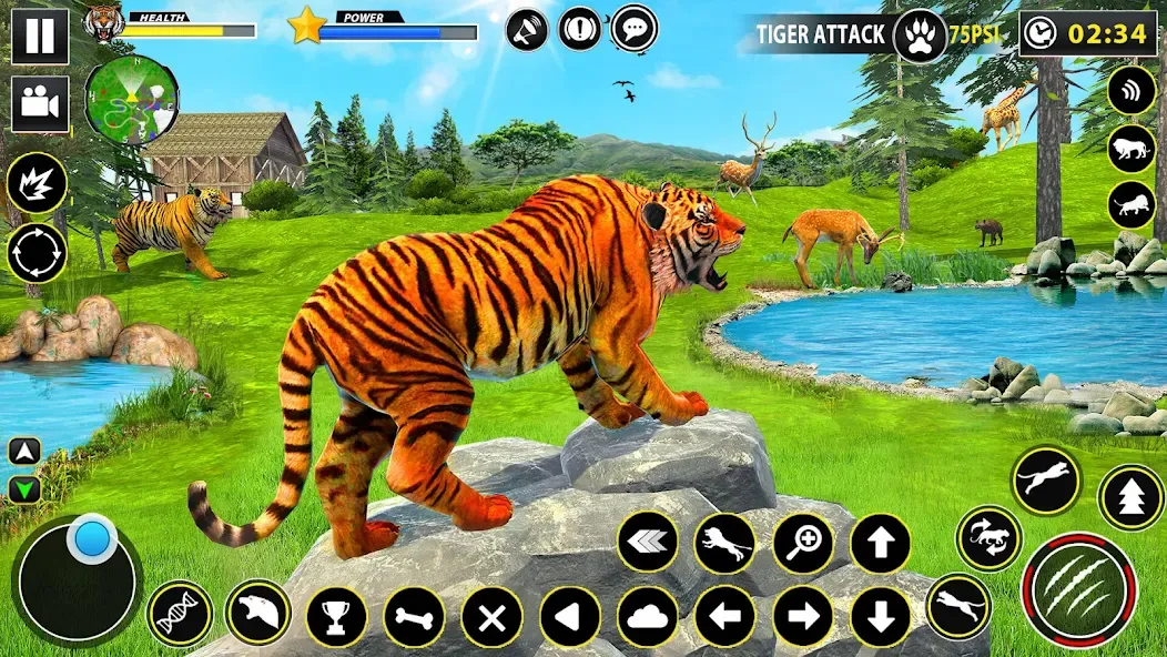 Скачать взлом Tiger Simulator Lion games 3D — Безлимитные деньги и энергия — скриншот 4