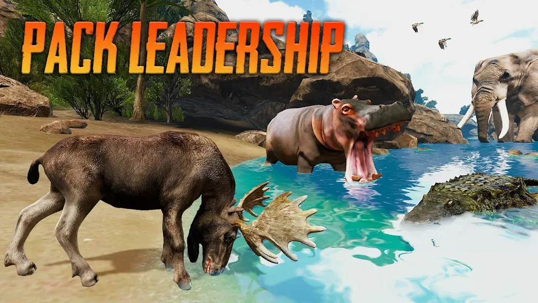 Скачать мод The Moose - Animal Simulator — Безлимитные монеты и здоровье — скриншот 4 Скачать мод The Moose - Animal Simulator — Безлимитные монеты и здоровье — скриншот 4
