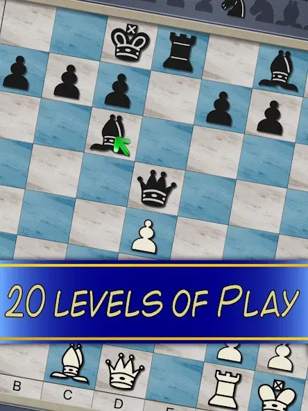 Скачать Chess V+ - board game of kings на Андроид с модом — Открыты все доски и фигуры — скриншот 5