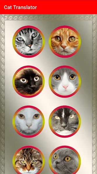Translator for Cats Prank взлом на Андроид — Переводчик кошачьих звуков без ограничений — скриншот 3