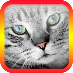 Translator for Cats Prank взлом на Андроид — Переводчик кошачьих звуков без ограничений