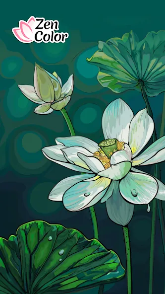 Zen Color - Color By Number — взломанная версия, Без рекламы и всё открыто — скриншот 1
