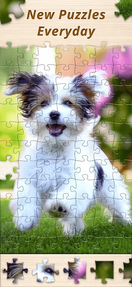 Скачать Jigsaw Premium Puzzles HD мод — Премиум функции и все пазлы открыты — скриншот 5