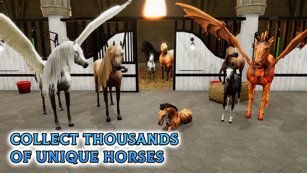 Скачать Horse Academy - Equestrian MMO мод — Бесконечные деньги и редкие лошади — скриншот 5 Скачать Horse Academy - Equestrian MMO мод — Бесконечные деньги и редкие лошади — скриншот 5