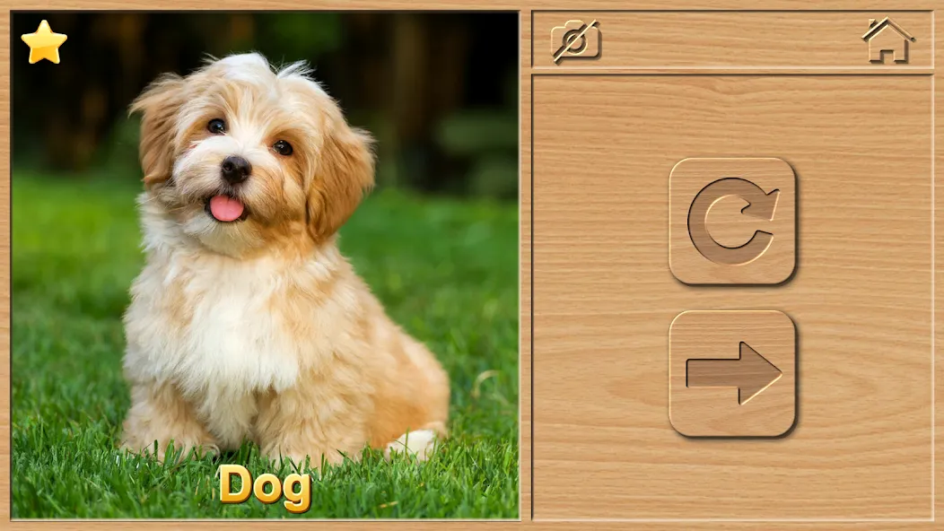 Animal Puzzles for Kids MOD APK: Открыты все пазлы и уровни — скриншот 2 Animal Puzzles for Kids MOD APK: Открыты все пазлы и уровни — скриншот 2