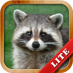 Скачать Animals for Kids мод — Все животные разблокированы и без рекламы