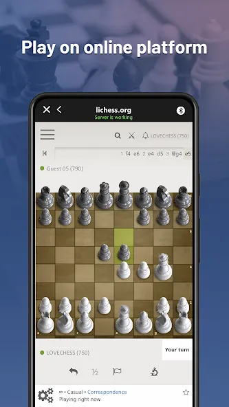 Скачать Chessnut мод — Бесплатная версия без рекламы — скриншот 2