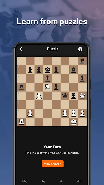 Скачать Chessnut мод — Бесплатная версия без рекламы — скриншот 3