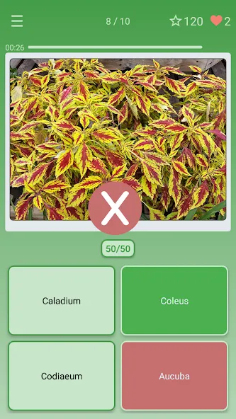 Quiz: Flowers, Plants MOD APK: Все растения разблокированы — скриншот 3